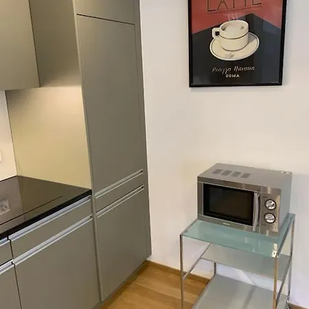 Nice And Big 1br Flat In The City Center - West 5